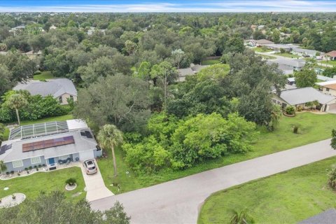 Land in Port Charlotte, Florida № 2385885 - photo 4
