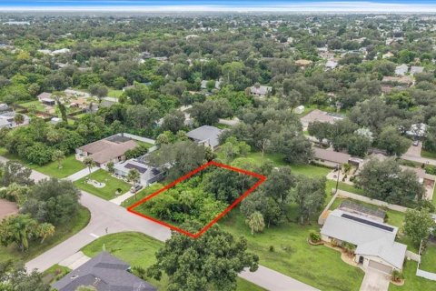 Land in Port Charlotte, Florida № 2385885 - photo 3