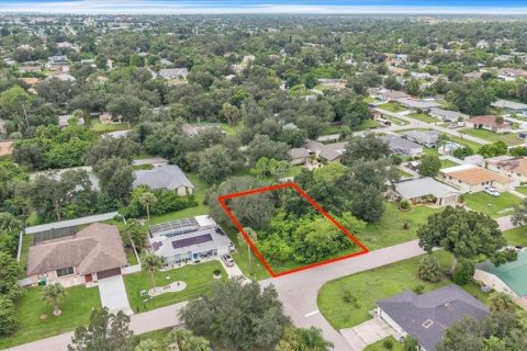 Land in Port Charlotte, Florida № 2385885