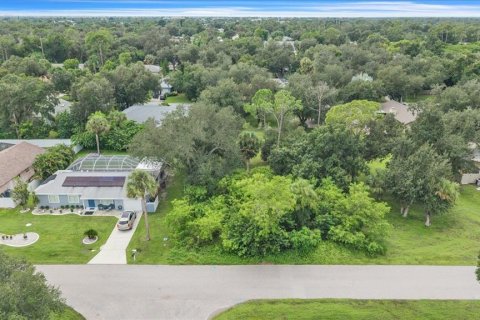 Land in Port Charlotte, Florida № 2385885 - photo 5