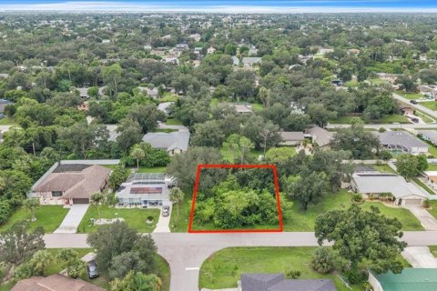 Land in Port Charlotte, Florida № 2385885 - photo 2
