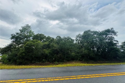 Terrain à vendre à Ocala, Floride № 1881085 - photo 4