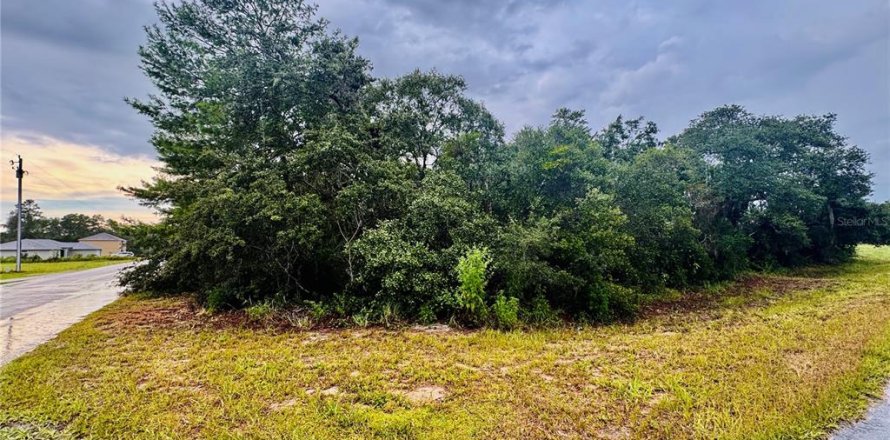 Terreno en Ocala, Florida № 1881085