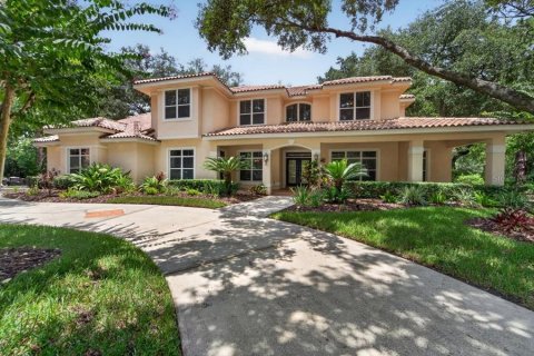 House in Tampa, Florida 5 bedrooms, 448.81 sq.m. № 2239393