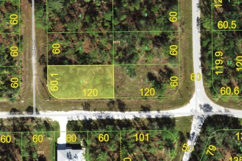 Terrain à Punta Gorda, Floride № 2158929