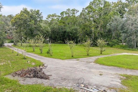 Terrain à vendre à Brooksville, Floride № 2387437 - photo 3