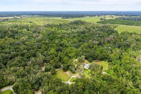 Terrain à vendre à Brooksville, Floride № 2387437 - photo 24