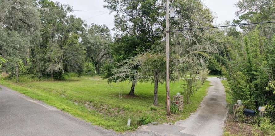 Terrain à Brooksville, Floride № 2387437