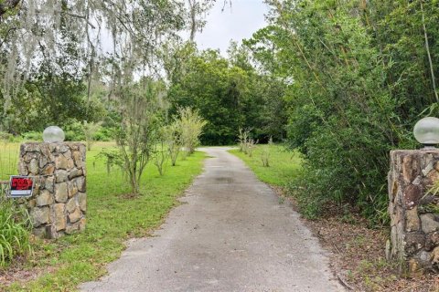 Terrain à vendre à Brooksville, Floride № 2387437 - photo 2