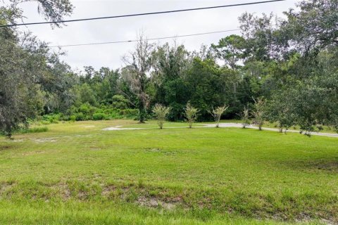 Terrain à vendre à Brooksville, Floride № 2387437 - photo 20