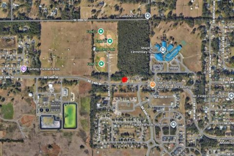 Land in Ocala, Florida № 2383876 - photo 6