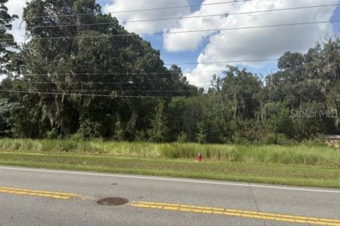 Land in Ocala, Florida № 2383876 - photo 3