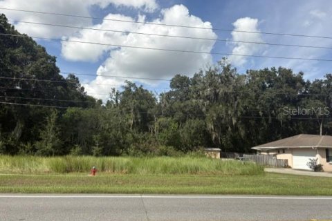 Land in Ocala, Florida № 2383876 - photo 2