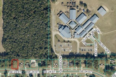 Land in Ocala, Florida № 2383876 - photo 5
