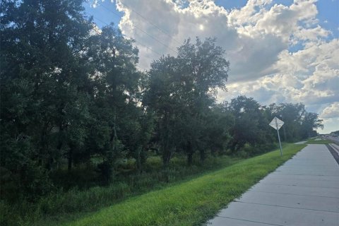 Terrain à Dade City, Floride № 2109529