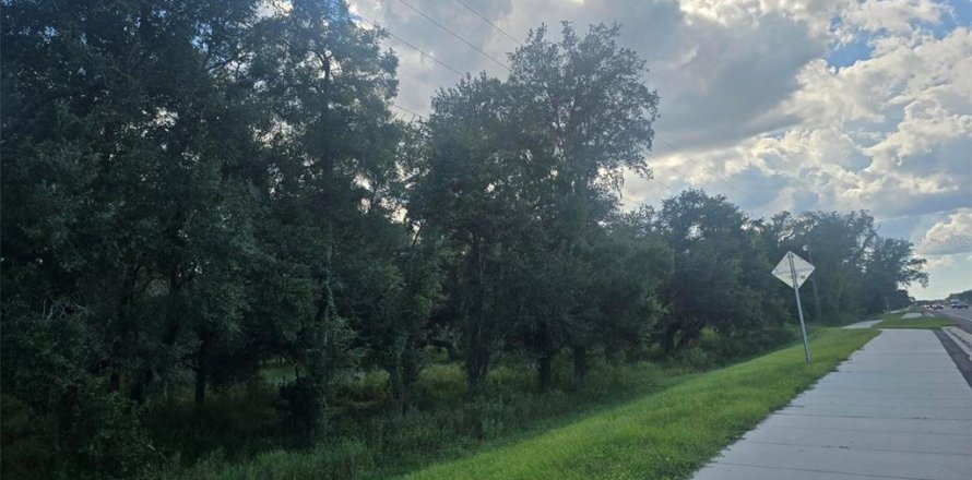 Land in Dade City, Florida № 2109529