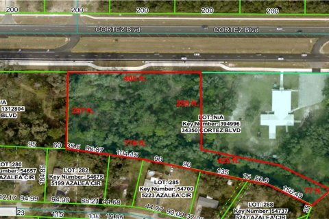 Land in Dade City, Florida № 2109529 - photo 4