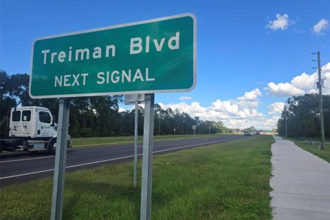 Land in Dade City, Florida № 2109529 - photo 2