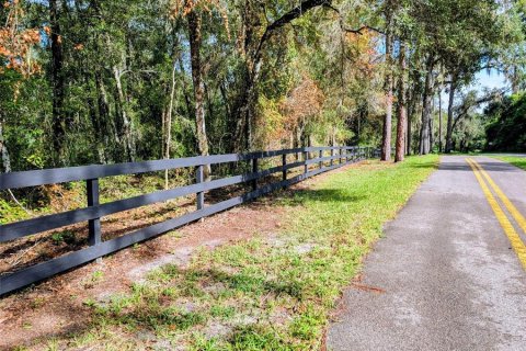 Land in DeLand, Florida № 1913980 - photo 1