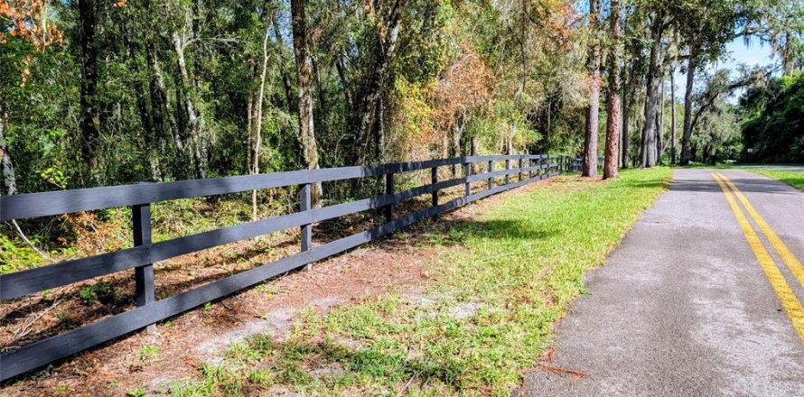 Land in DeLand, Florida № 1913980