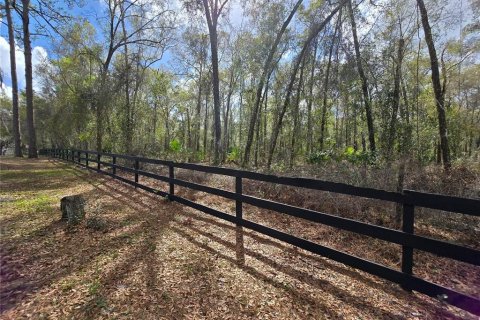 Land in DeLand, Florida № 1913980 - photo 12