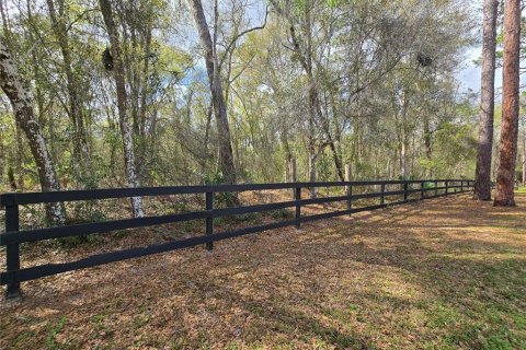 Land in DeLand, Florida № 1913980 - photo 15