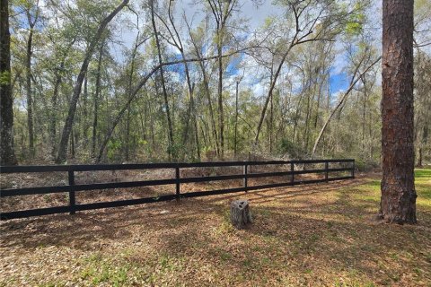 Land in DeLand, Florida № 1913980 - photo 11