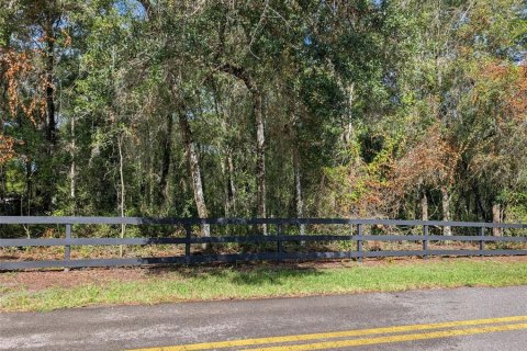 Land in DeLand, Florida № 1913980 - photo 3