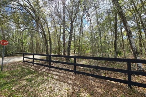 Land in DeLand, Florida № 1913980 - photo 8
