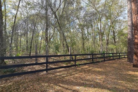 Land in DeLand, Florida № 1913980 - photo 9