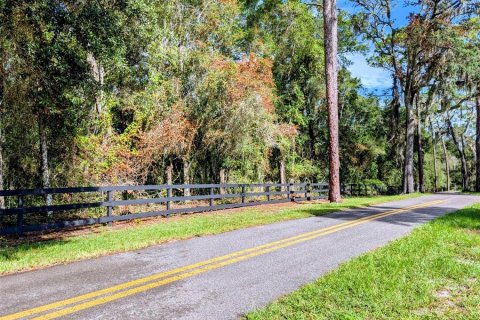 Land in DeLand, Florida № 1913980 - photo 2