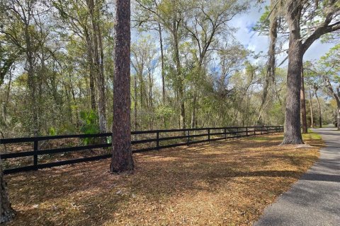 Land in DeLand, Florida № 1913980 - photo 14