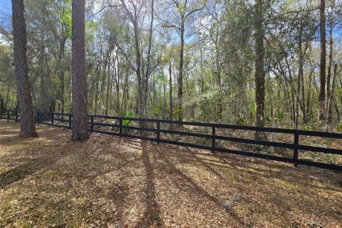 Land in DeLand, Florida № 1913980 - photo 13