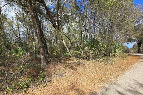 Land in DeLand, Florida № 1913980 - photo 7