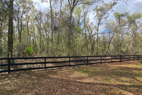 Land in DeLand, Florida № 1913980 - photo 10