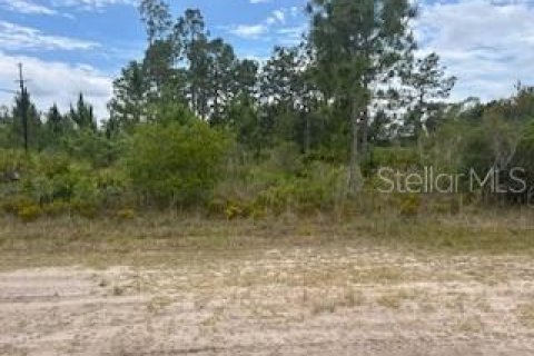 Land in Indian lake estates, Florida № 2162324
