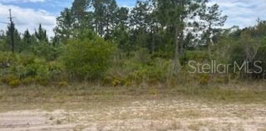 Land in Indian lake estates, Florida № 2162324