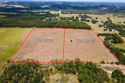 Land in Dade City, Florida № 217645 - photo 2