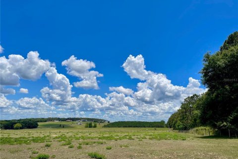 Land in Dade City, Florida № 217645 - photo 11