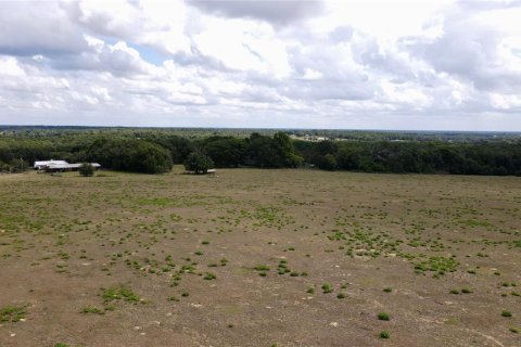 Land in Dade City, Florida № 217645 - photo 16