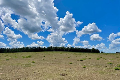 Land in Dade City, Florida № 217645 - photo 14