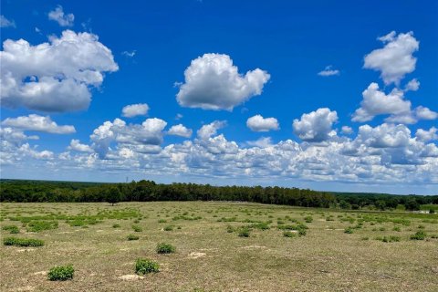 Land in Dade City, Florida № 217645 - photo 13