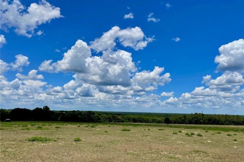 Land in Dade City, Florida № 217645 - photo 5
