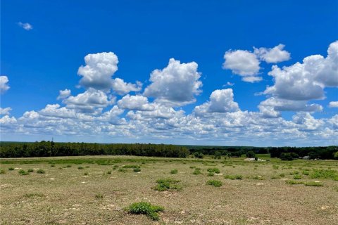 Land in Dade City, Florida № 217645 - photo 12