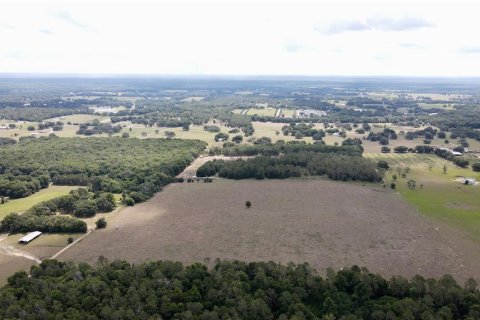 Land in Dade City, Florida № 217645 - photo 18