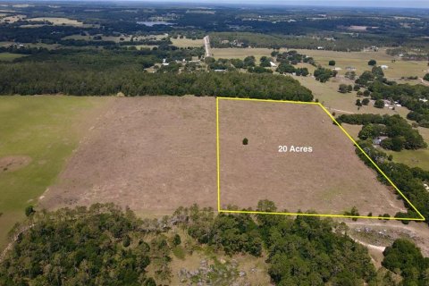 Land in Dade City, Florida № 217645 - photo 4