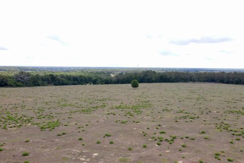Land in Dade City, Florida № 217645 - photo 17
