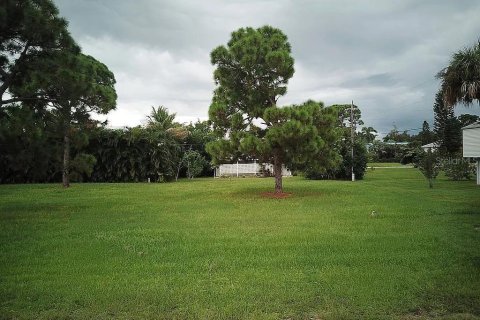 Terrain à Bokeelia, Floride № 2214737