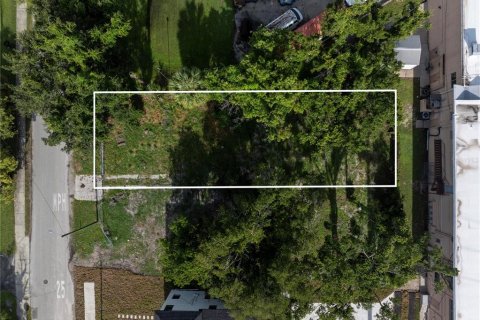 Land in Tampa, Florida № 1886286 - photo 4