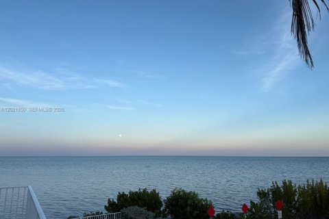 Casa en alquiler en Key Largo, Florida, 3 dormitorios, 182.83 m2 № 2077681 - foto 9